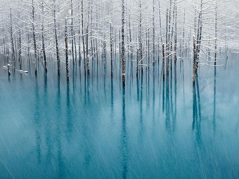 Голубой пруд зимой / Фото National Geographic