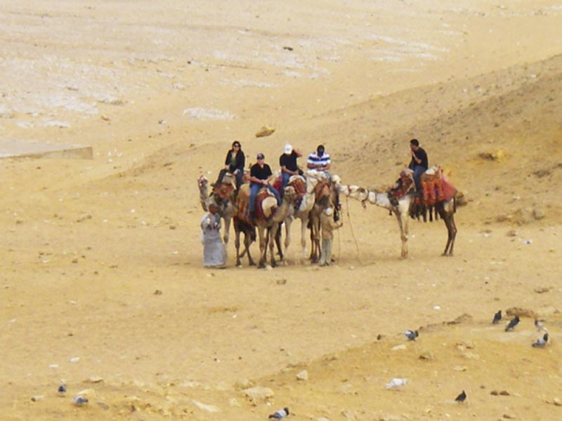 Экскурсия в Египете на верблюдах