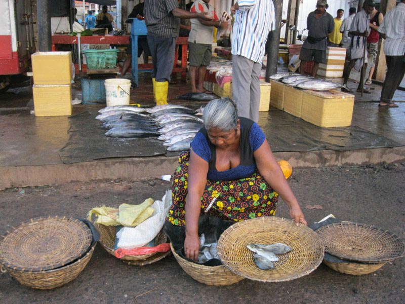 Рыбный рынок в Негомбо
